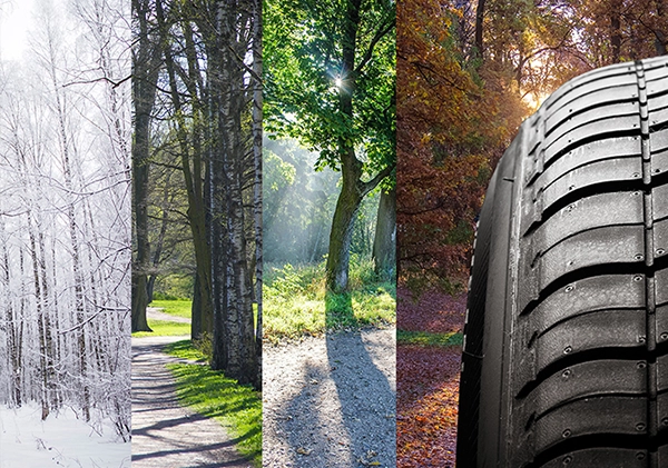 لاستیک چهار فصل چیست؟ مزایا و معایب و روش تشخیص